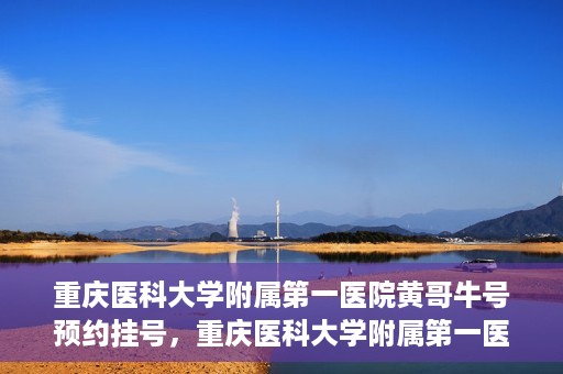 重庆医科大学附属第一医院黄哥牛号预约挂号，重庆医科大学附属第一医院黄哥牛号预约挂号攻略