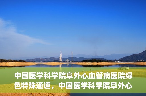中国医学科学院阜外心血管病医院绿色特殊通道，中国医学科学院阜外心血管病医院开通绿色特殊通道，助力患者快速康复之路
