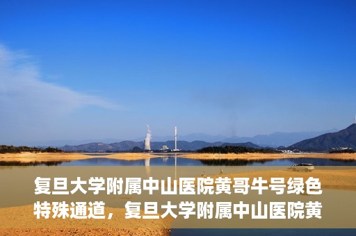 复旦大学附属中山医院黄哥牛号绿色特殊通道，复旦大学附属中山医院黄哥牛号，绿色特殊通道开启健康之门