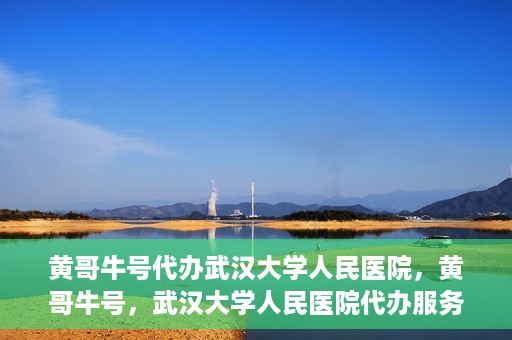 黄哥牛号代办武汉大学人民医院，黄哥牛号，武汉大学人民医院代办服务解析