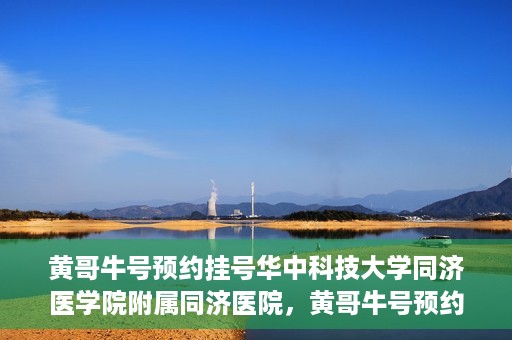 黄哥牛号预约挂号华中科技大学同济医学院附属同济医院，黄哥牛号预约挂号服务，华中科技大学同济医学院附属同济医院便捷就医新体验