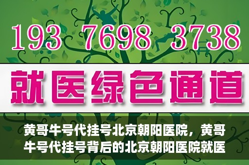 黄哥牛号代挂号北京朝阳医院，黄哥牛号代挂号背后的北京朝阳医院就医现象观察