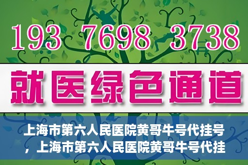 上海市第六人民医院黄哥牛号代挂号，上海市第六人民医院黄哥牛号代挂号攻略揭秘