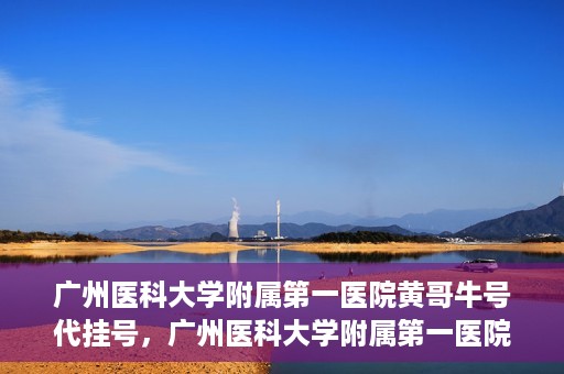 广州医科大学附属第一医院黄哥牛号代挂号，广州医科大学附属第一医院黄哥挂号攻略，轻松解决代挂号问题