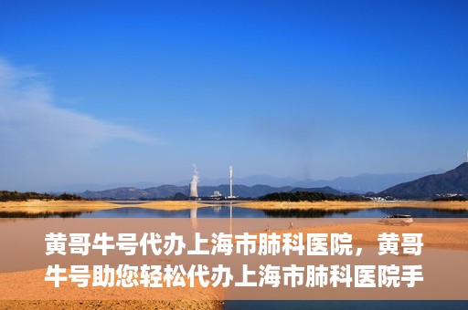 黄哥牛号代办上海市肺科医院，黄哥牛号助您轻松代办上海市肺科医院手续。