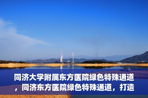 同济大学附属东方医院绿色特殊通道，同济东方医院绿色特殊通道，打造健康之路的新篇章