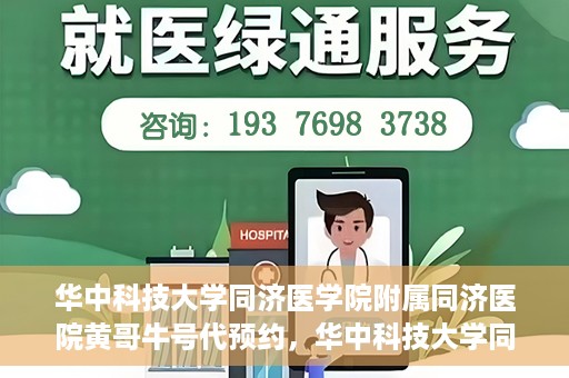 华中科技大学同济医学院附属同济医院黄哥牛号代预约，华中科技大学同济医院黄哥牛号预约服务解析