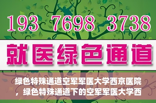 绿色特殊通道空军军医大学西京医院，绿色特殊通道下的空军军医大学西京医院探索与实践