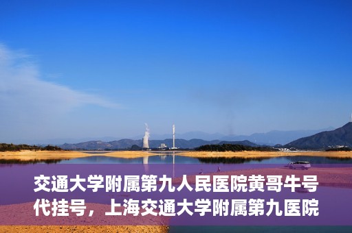 交通大学附属第九人民医院黄哥牛号代挂号，上海交通大学附属第九医院黄哥牛号代挂号攻略解析