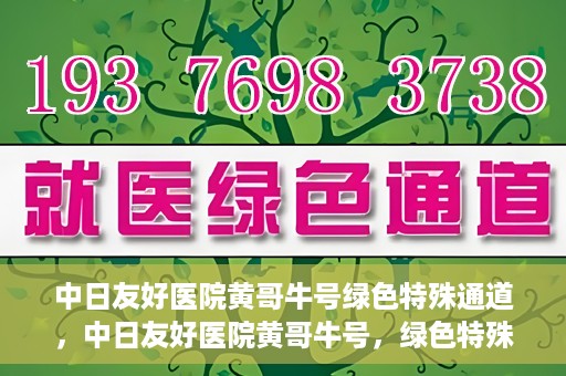 中日友好医院黄哥牛号绿色特殊通道，中日友好医院黄哥牛号，绿色特殊通道开启健康之门