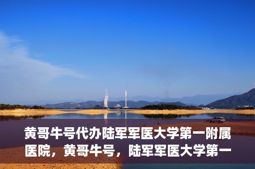 黄哥牛号代办陆军军医大学第一附属医院，黄哥牛号，陆军军医大学第一附属医院代办服务详解