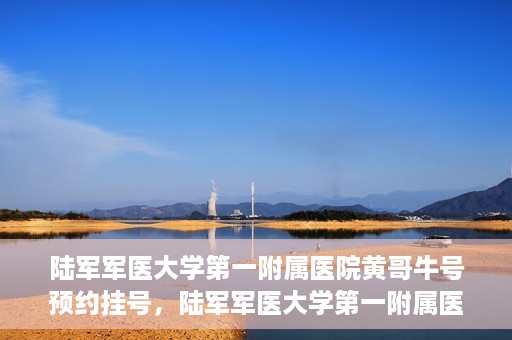 陆军军医大学第一附属医院黄哥牛号预约挂号，陆军军医大学第一附属医院黄哥牛号预约挂号指南，轻松挂号，健康无忧！