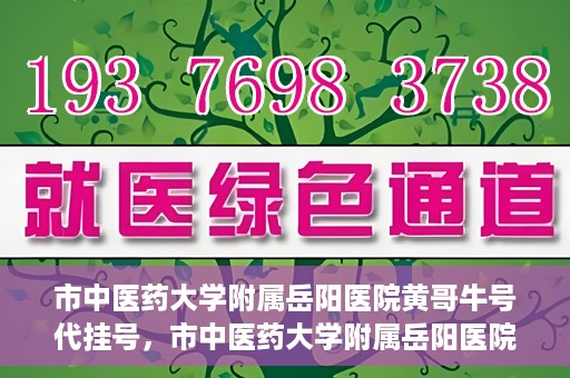 市中医药大学附属岳阳医院黄哥牛号代挂号，市中医药大学附属岳阳医院黄哥牛号代挂号服务解析