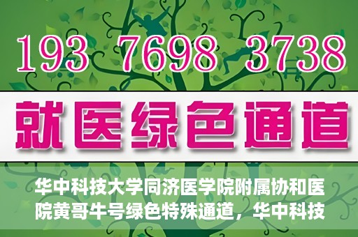 华中科技大学同济医学院附属协和医院黄哥牛号绿色特殊通道，华中科技大学同济医学院附属协和医院黄哥牛号绿色就医特殊通道揭秘