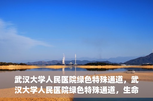 武汉大学人民医院绿色特殊通道，武汉大学人民医院绿色特殊通道，生命救援的紧急通道