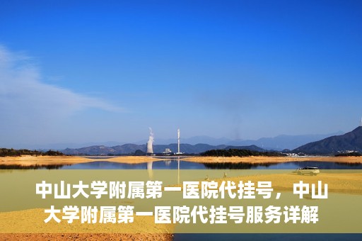 中山大学附属第一医院代挂号，中山大学附属第一医院代挂号服务详解