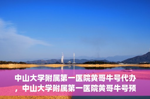中山大学附属第一医院黄哥牛号代办，中山大学附属第一医院黄哥牛号预约挂号代办攻略