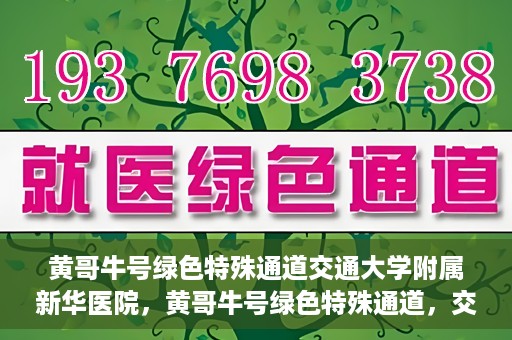 黄哥牛号绿色特殊通道交通大学附属新华医院，黄哥牛号绿色特殊通道，交通大学附属新华医院的探索与实践