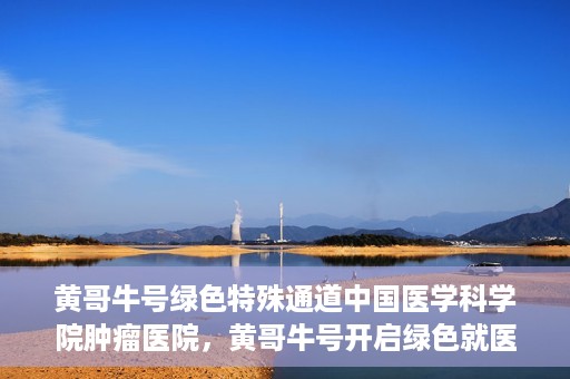 黄哥牛号绿色特殊通道中国医学科学院肿瘤医院，黄哥牛号开启绿色就医通道，中国医学科学院肿瘤医院专注诊疗新篇章