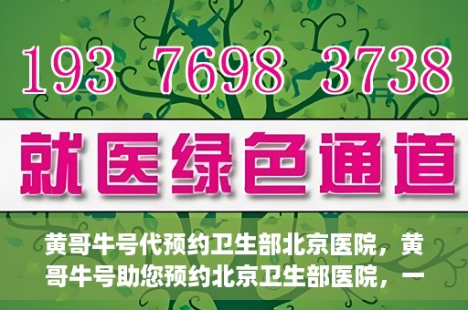 黄哥牛号代预约卫生部北京医院，黄哥牛号助您预约北京卫生部医院，一站式便捷服务开启