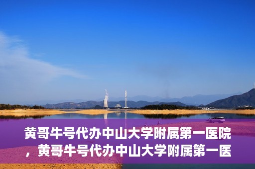 黄哥牛号代办中山大学附属第一医院，黄哥牛号代办中山大学附属第一医院业务手续全攻略