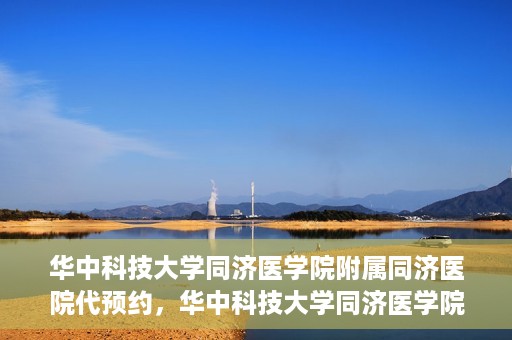 华中科技大学同济医学院附属同济医院代预约，华中科技大学同济医学院附属同济医院便捷预约服务解析