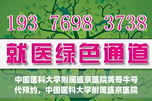 中国医科大学附属盛京医院黄哥牛号代预约，中国医科大学附属盛京医院黄哥牛号预约服务解析