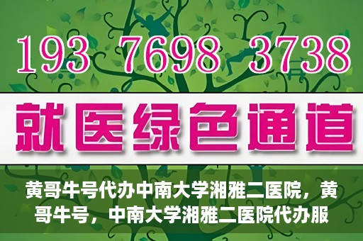 黄哥牛号代办中南大学湘雅二医院，黄哥牛号，中南大学湘雅二医院代办服务详解