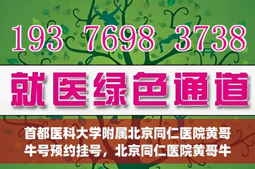 首都医科大学附属北京同仁医院黄哥牛号预约挂号，北京同仁医院黄哥牛号预约挂号攻略，专业医疗服务的便捷通道