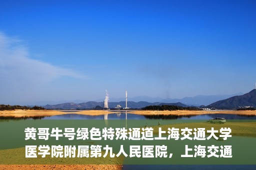 黄哥牛号绿色特殊通道上海交通大学医学院附属第九人民医院，上海交通大学医学院附属第九人民医院开通绿色特殊通道——黄哥牛号服务新篇章