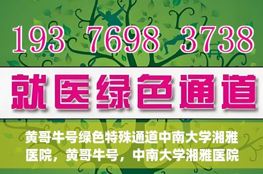 黄哥牛号绿色特殊通道中南大学湘雅医院，黄哥牛号，中南大学湘雅医院绿色特殊通道揭秘