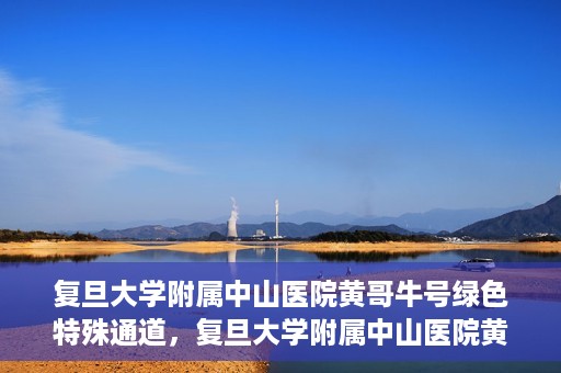 复旦大学附属中山医院黄哥牛号绿色特殊通道，复旦大学附属中山医院黄哥牛号，绿色特殊通道开启健康之门