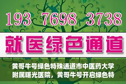 黄哥牛号绿色特殊通道市中医药大学附属曙光医院，黄哥牛号开启绿色特殊通道，市中医药大学附属曙光医院倾力打造健康新篇章