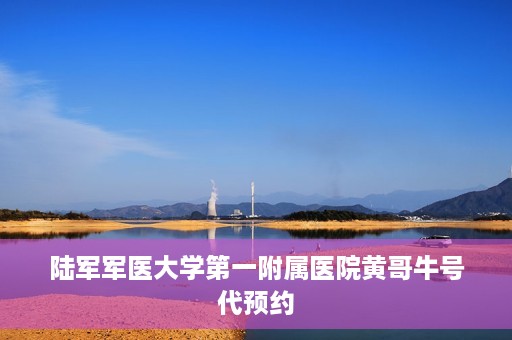陆军军医大学第一附属医院黄哥牛号代预约