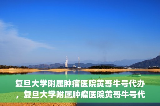 复旦大学附属肿瘤医院黄哥牛号代办，复旦大学附属肿瘤医院黄哥牛号代办，真相揭秘与深度解析