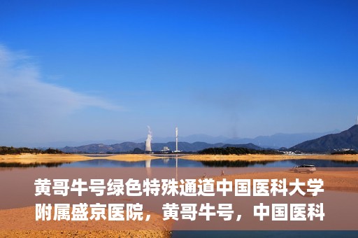 黄哥牛号绿色特殊通道中国医科大学附属盛京医院，黄哥牛号，中国医科大学附属盛京医院开启绿色特殊通道助力医疗进步