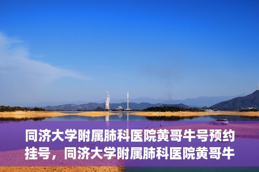 同济大学附属肺科医院黄哥牛号预约挂号，同济大学附属肺科医院黄哥牛预约挂号攻略，轻松预约专家号