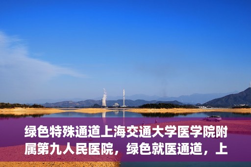 绿色特殊通道上海交通大学医学院附属第九人民医院，绿色就医通道，上海交通大学医学院附属第九人民医院的探索与实践