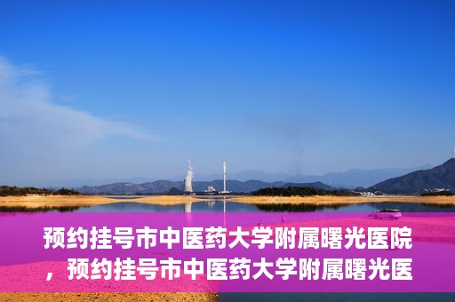 预约挂号市中医药大学附属曙光医院，预约挂号市中医药大学附属曙光医院，一站式便捷就医服务新体验