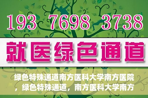 绿色特殊通道南方医科大学南方医院，绿色特殊通道，南方医科大学南方医院的探索与实践