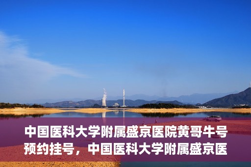 中国医科大学附属盛京医院黄哥牛号预约挂号，中国医科大学附属盛京医院黄哥牛号，预约挂号指南