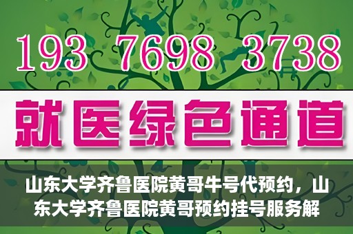 山东大学齐鲁医院黄哥牛号代预约，山东大学齐鲁医院黄哥预约挂号服务解析