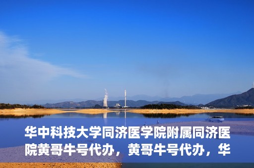 华中科技大学同济医学院附属同济医院黄哥牛号代办，黄哥牛号代办，华中科技大学同济医学院附属同济医院的便捷服务新探