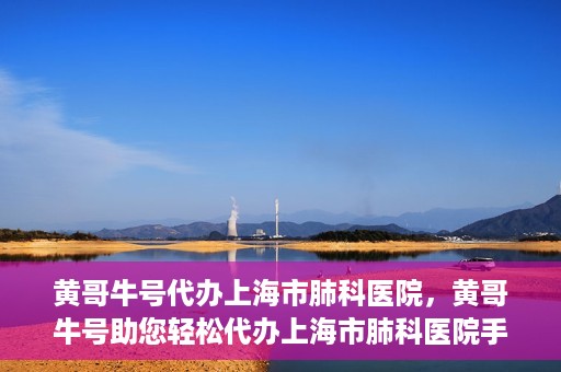 黄哥牛号代办上海市肺科医院，黄哥牛号助您轻松代办上海市肺科医院手续。