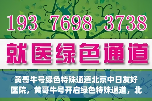 黄哥牛号绿色特殊通道北京中日友好医院，黄哥牛号开启绿色特殊通道，北京中日友好医院助力健康之路