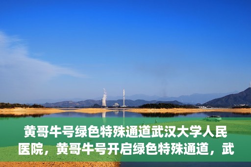 黄哥牛号绿色特殊通道武汉大学人民医院，黄哥牛号开启绿色特殊通道，武汉大学人民医院全力护航健康之路