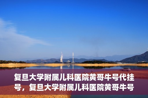 复旦大学附属儿科医院黄哥牛号代挂号，复旦大学附属儿科医院黄哥牛号代挂号解析，专业解读与挂号攻略