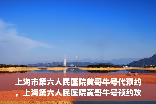 上海市第六人民医院黄哥牛号代预约，上海第六人民医院黄哥牛号预约攻略，轻松解决挂号难题