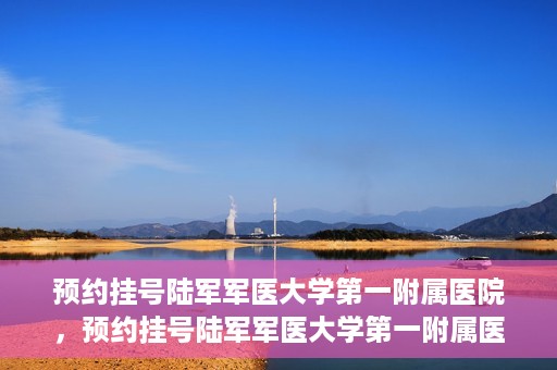 预约挂号陆军军医大学第一附属医院，预约挂号陆军军医大学第一附属医院，一站式医疗服务平台体验之旅