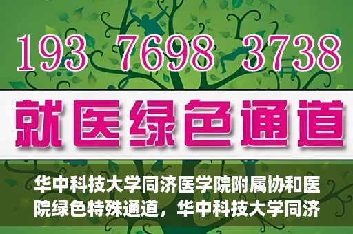 华中科技大学同济医学院附属协和医院绿色特殊通道，华中科技大学同济医学院附属协和医院，绿色特殊通道的探索与实践